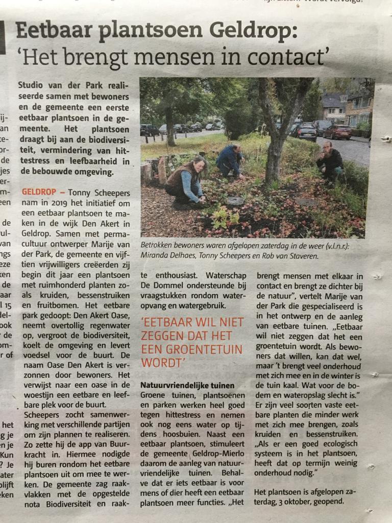 krantenartikel image